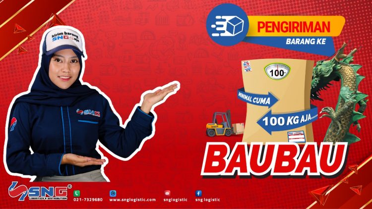Ekspedisi Jakarta Baubau Door to Door Service Termurah SNG Logistic
