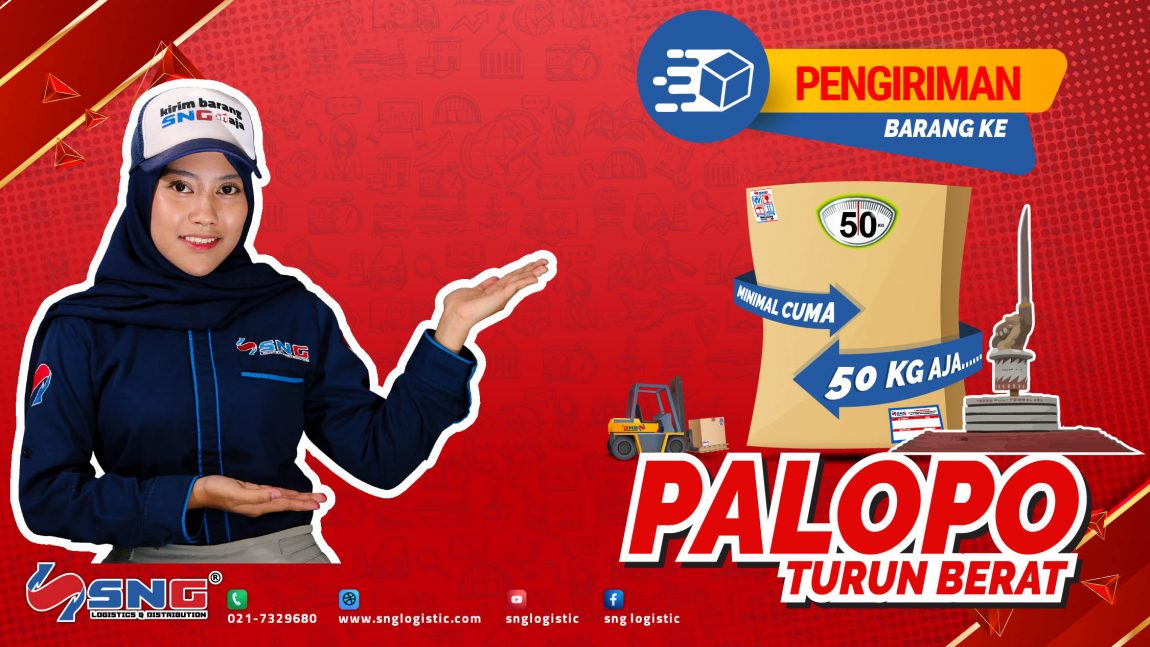 Jasa Ekspedisi Jakarta Palopo Termurah dan Terpercaya dengan SNG Logistic 